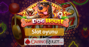 The Dog House Slot Oyunu